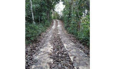 Se Vende Terreno 5.1 Hectareas Gatuncillo, Colón