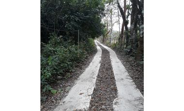 Se Vende Terreno 5.1 Hectareas Gatuncillo, Colón
