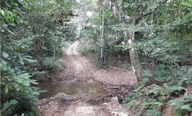 Se Vende Terreno 5.1 Hectareas Gatuncillo, Colón