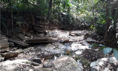 Se Vende Terreno 5.1 Hectareas Gatuncillo, Colón