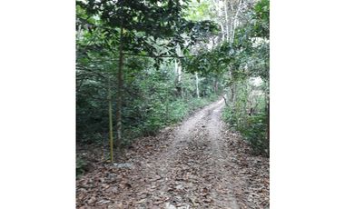 Se Vende Terreno 5.1 Hectareas Gatuncillo, Colón