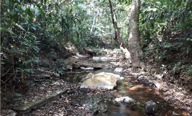 Se Vende Terreno 5.1 Hectareas Gatuncillo, Colón