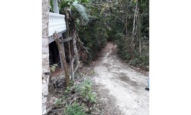 Se Vende Terreno 5.1 Hectareas Gatuncillo, Colón