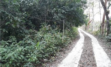 Se Vende Terreno 5.1 Hectareas Gatuncillo, Colón