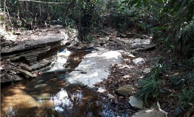 Se Vende Terreno 5.1 Hectareas Gatuncillo, Colón