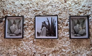 Casa en Venta en el centro de Mérida Yucatán