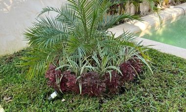 Casa en Venta en el centro de Mérida Yucatán