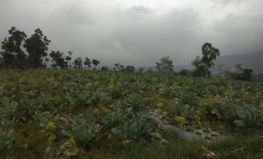 2,1 Ha Tanah Strategis Komersil View Bagus, Tugumukti, Cisarua, Bandung Barat