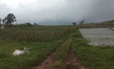 2,1 Ha Tanah Strategis Komersil View Bagus, Tugumukti, Cisarua, Bandung Barat