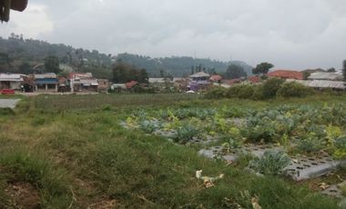 2,1 Ha Tanah Strategis Komersil View Bagus, Tugumukti, Cisarua, Bandung Barat