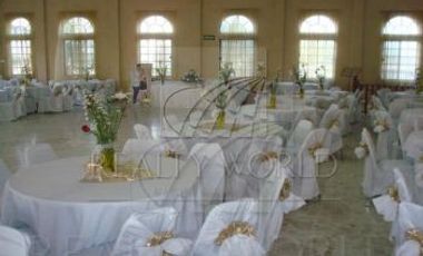 Locales Venta Guadalupe Zona Guadalupe 40-LV-2701