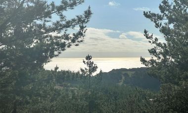 Sitio en Venta en Loteo Fundo Boyeruca, Nuevo terreno en venta