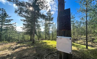 Sitio en Venta en Loteo Fundo Boyeruca, Nuevo terreno en venta