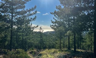 Sitio en Venta en Loteo Fundo Boyeruca, Nuevo terreno en venta