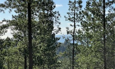 Sitio en Venta en Loteo Fundo Boyeruca, Nuevo terreno en venta