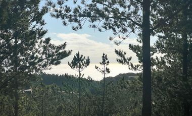 Sitio en Venta en Loteo Fundo Boyeruca, Nuevo terreno en venta