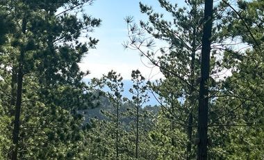 Sitio en Venta en Loteo Fundo Boyeruca, Nuevo terreno en venta