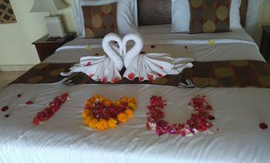 For Sale Exclusive Villas Colonial Style-Estate in Lovina - Singaraja