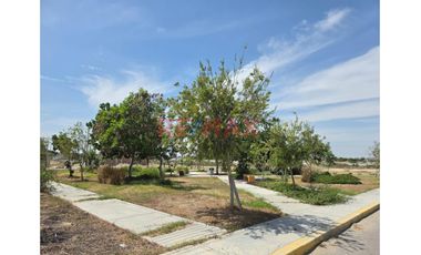 ​🏗️ ¡El Lienzo Perfecto 90M2 Frente A Parque Para Tu Proyecto En Urb. Alto Piura!