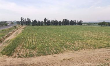 VENTA DE TERRENO EN CARRETERA 45 NORTE  SALIDA A ZAC.   45HA (ALE)