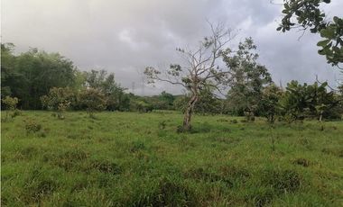 VENDO TERRENO DE 3.9 HECTAREAS TITULADAS EN EL HIGO