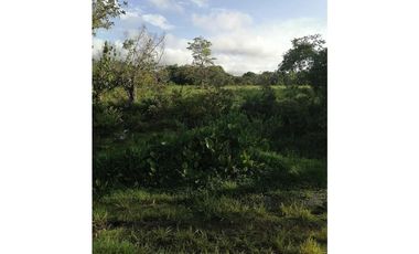 VENDO TERRENO DE 3.9 HECTAREAS TITULADAS EN EL HIGO
