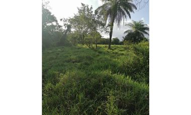 VENDO TERRENO DE 3.9 HECTAREAS TITULADAS EN EL HIGO