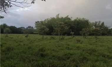 VENDO TERRENO DE 3.9 HECTAREAS TITULADAS EN EL HIGO