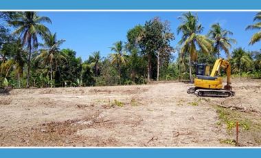 Tanah Perumahan Purworejo, 85 Jt/Unit: Sertifikat SHM