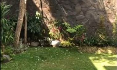 Rumah sewa untuk expatriate dekat setrasari mall