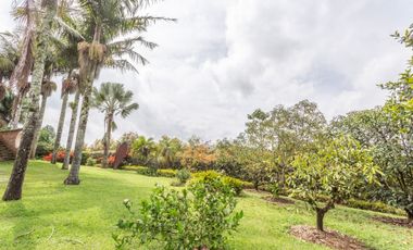 casa en arriendo/venta en la ceja. Cod A16248