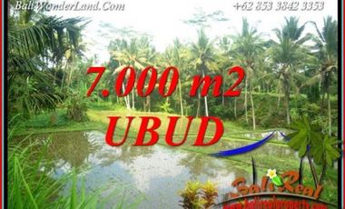 Tanah Murah di Ubud Pejeng View Sawah dan Sungai