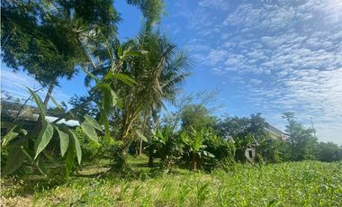 VENDO LOTE TITULADO DE 1200 M2 PROGRESO