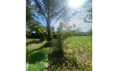 VENDO LOTE TITULADO DE 1200 M2 PROGRESO