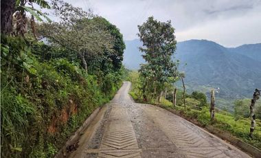 Lote Terreno En San Jerónimo