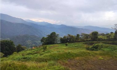 Lote Terreno En San Jerónimo