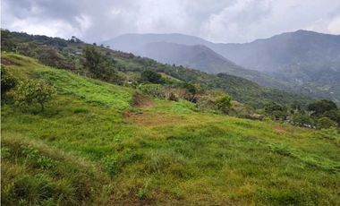 Lote Terreno En San Jerónimo