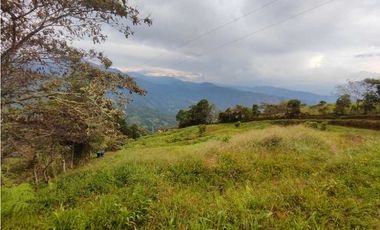 Lote Terreno En San Jerónimo
