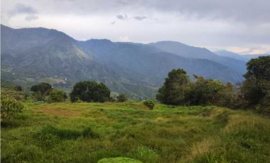 Lote Terreno En San Jerónimo