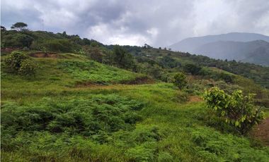 Lote Terreno En San Jerónimo