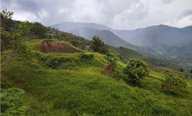 Lote Terreno En San Jerónimo