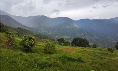 Lote Terreno En San Jerónimo