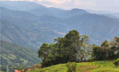 Lote Terreno En San Jerónimo