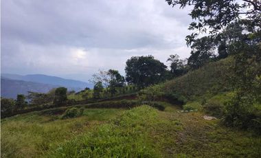 Lote Terreno En San Jerónimo