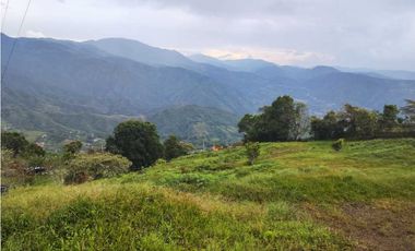 Lote Terreno En San Jerónimo