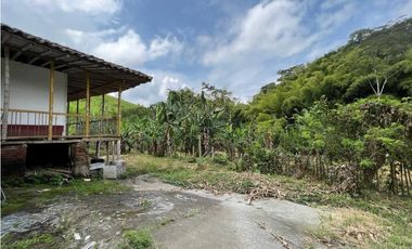 Finca en arriendo, vereda El Rosario, Manizales