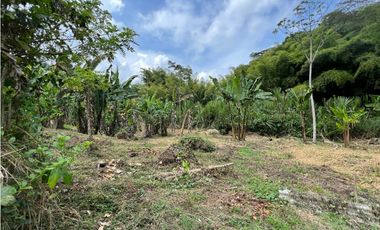 Finca en arriendo, vereda El Rosario, Manizales