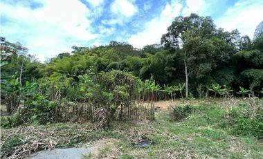 Finca en arriendo, vereda El Rosario, Manizales
