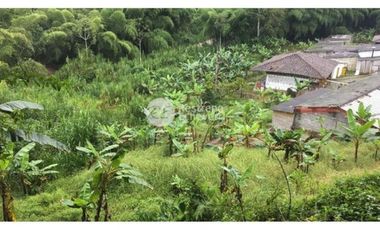 Finca en arriendo, vereda El Rosario, Manizales