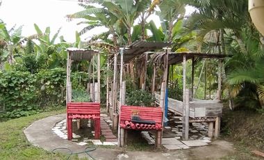 FINCA EN VENTA EN FILADELFIA-CALDAS